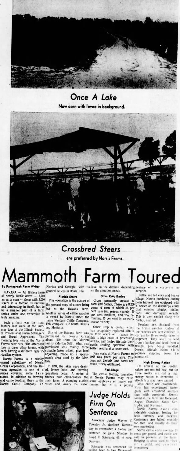 1969 "Mammoth Farm Toured ~ Crossbred Steer...